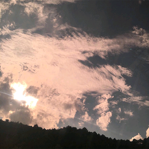 黑人40厘米全进去了欧美
