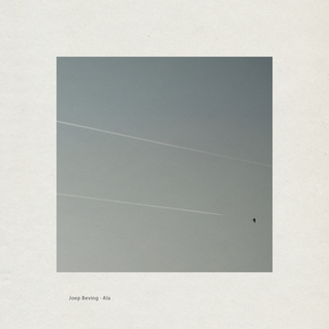 黑人40厘米全进去了欧美
