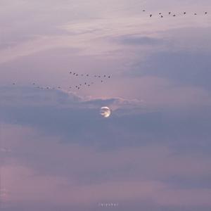 黑人40厘米全进去了欧美
